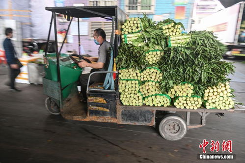 近200吨湖北农副产品运抵广州销售